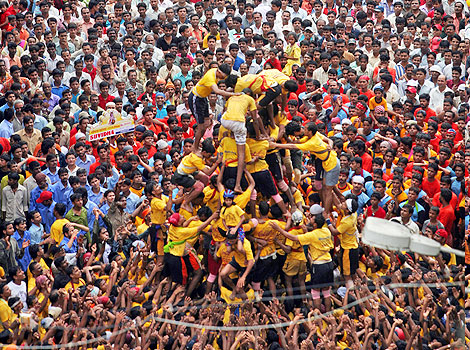 dahi handi tshirt